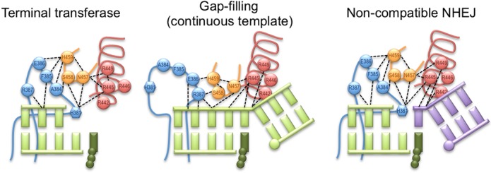 Figure 6.