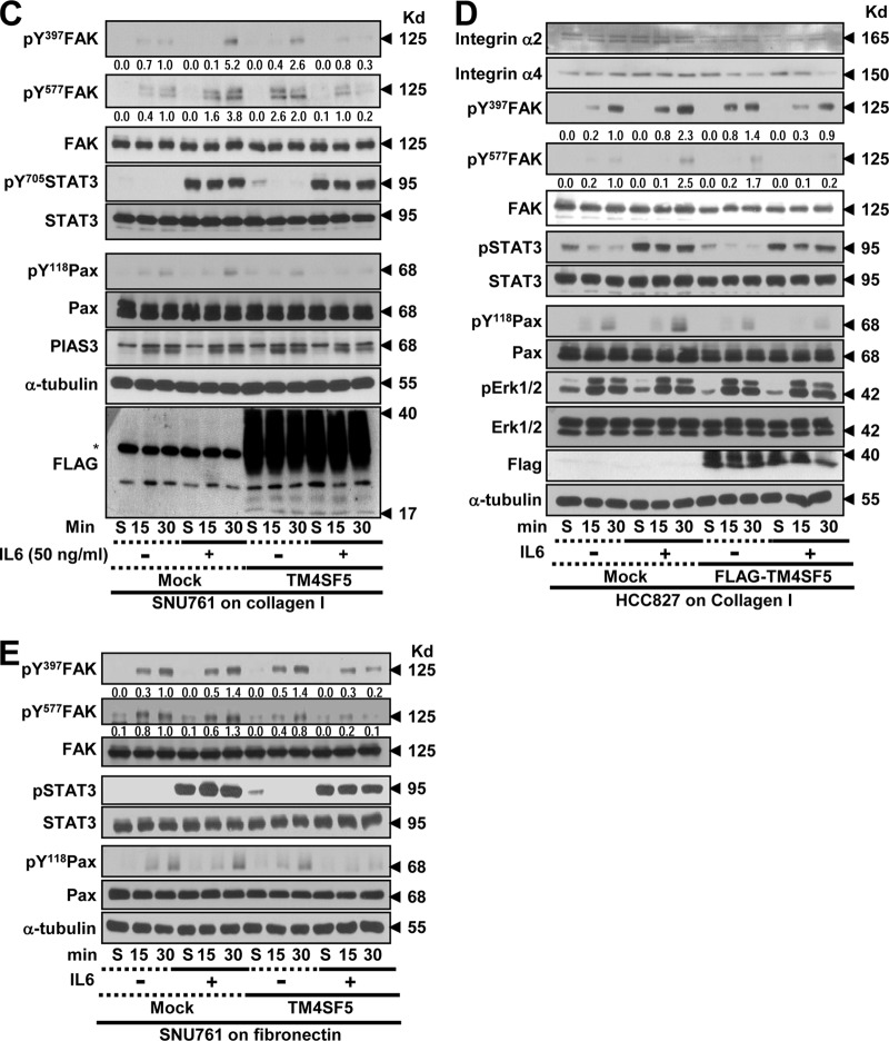 FIG 2