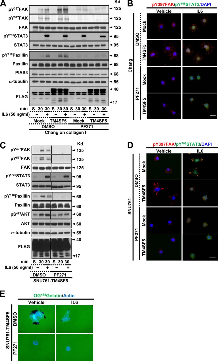 FIG 6