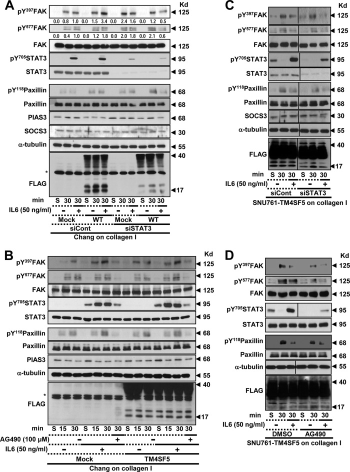 FIG 4