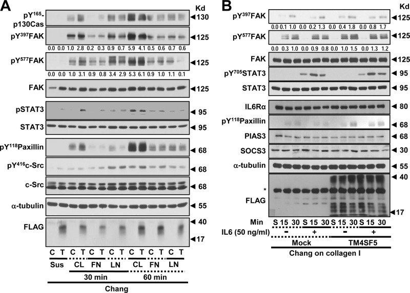 FIG 2