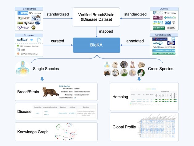 Graphical Abstract