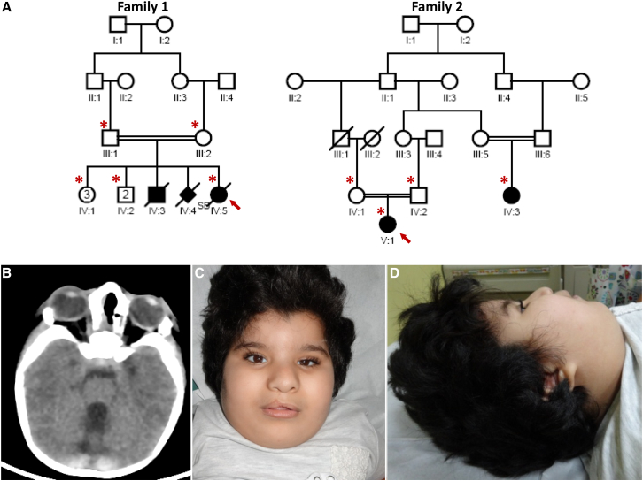 Figure 1