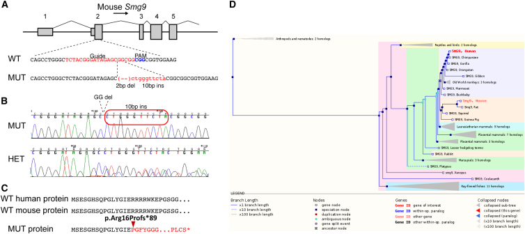 Figure 4