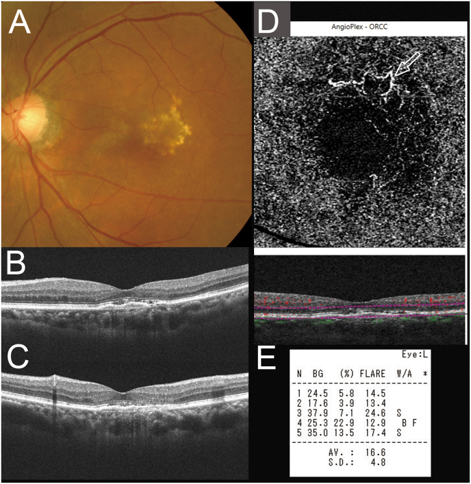 Fig. 3