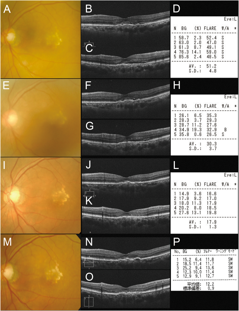 Fig. 2