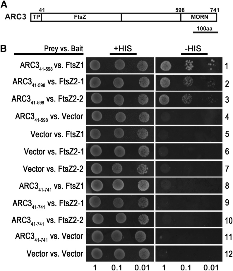 Figure 5.