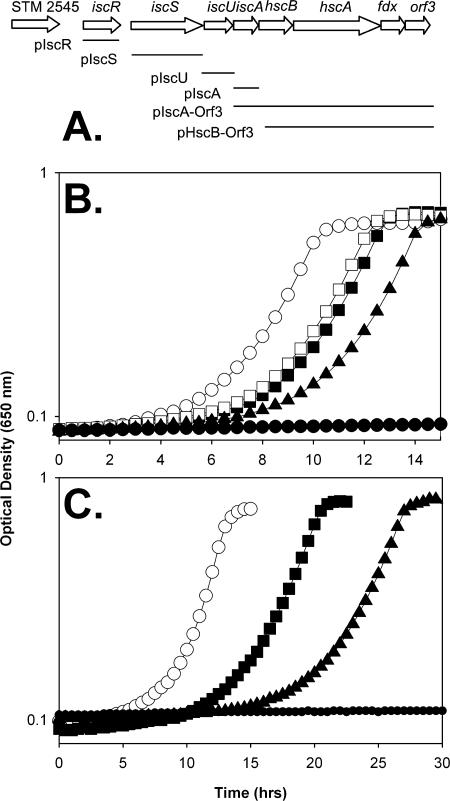 FIG. 2.