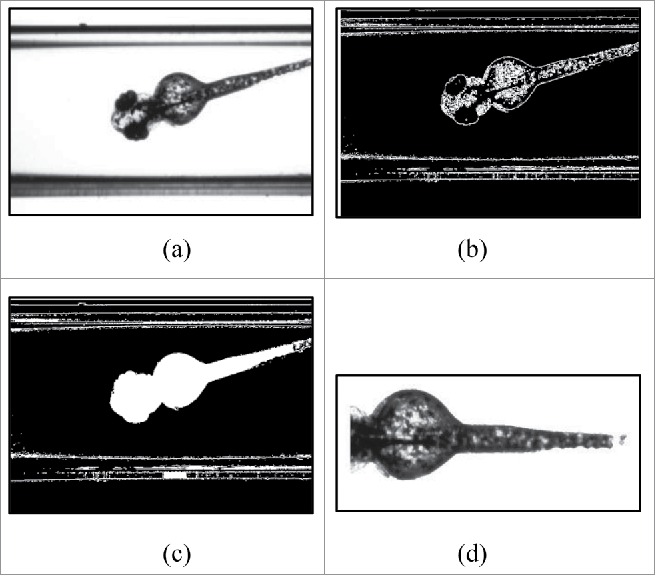 Figure 2.