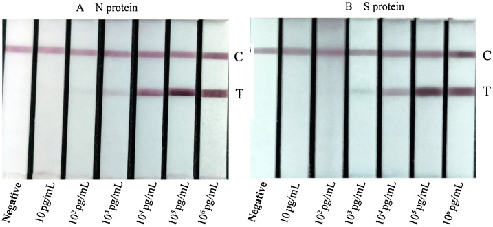 Fig. 5