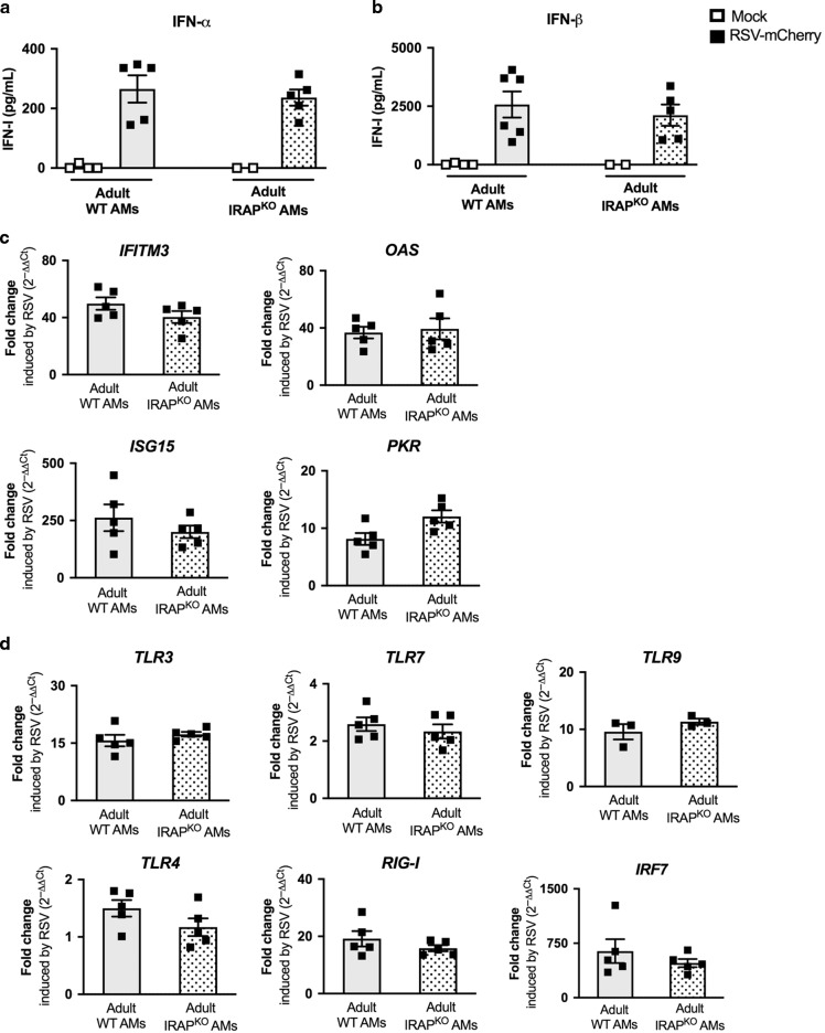 Control of IFN-I responses by the aminopeptidase IRAP in neonatal C57BL ...