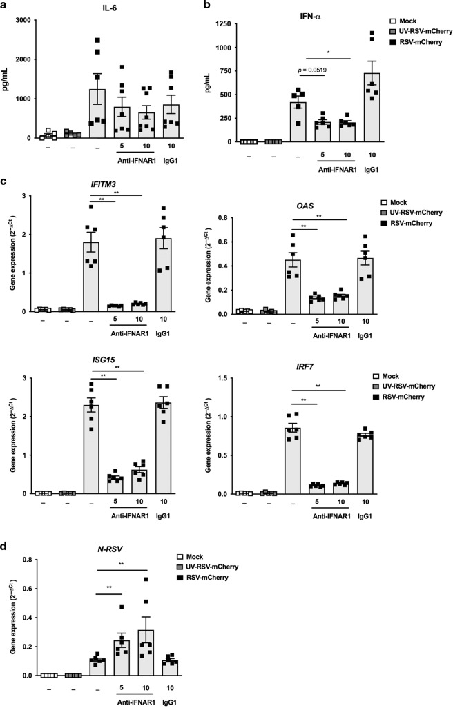 Control of IFN-I responses by the aminopeptidase IRAP in neonatal C57BL ...