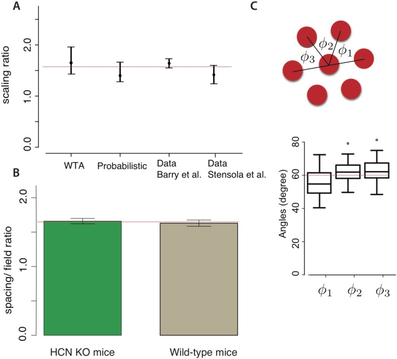 Figure 4.