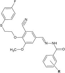 Fig. 19