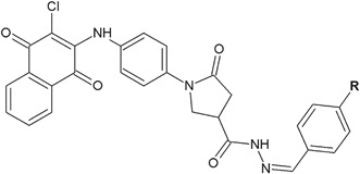 Fig. 27