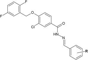 Fig. 12