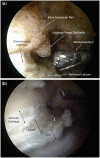 Fig. 3.