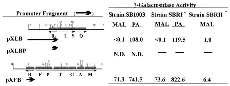 FIG. 6