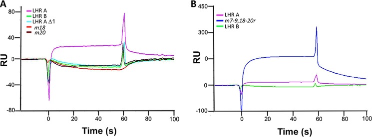 FIGURE 7.