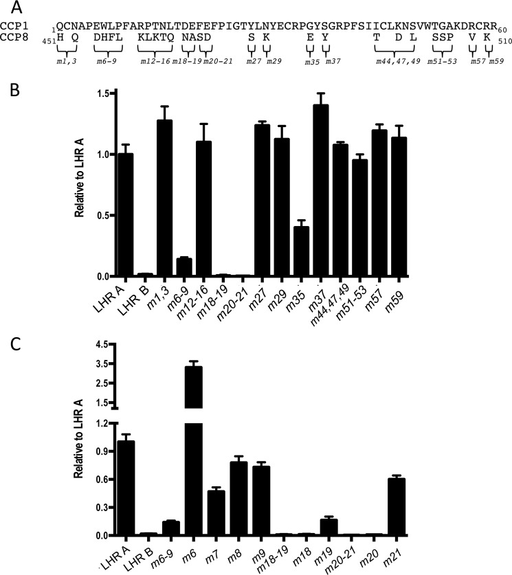 FIGURE 3.