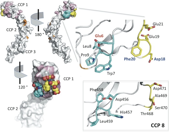 FIGURE 11.