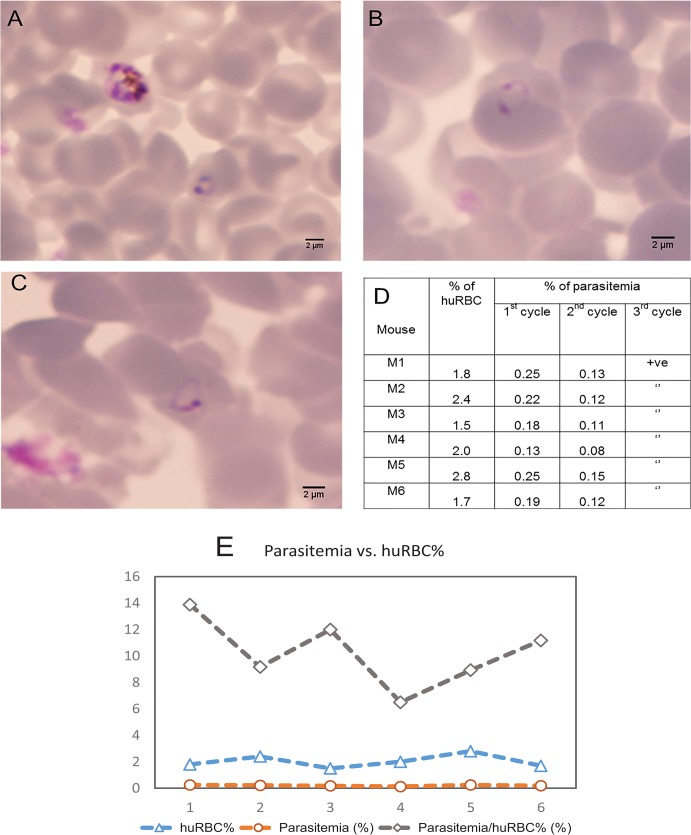 Fig 4