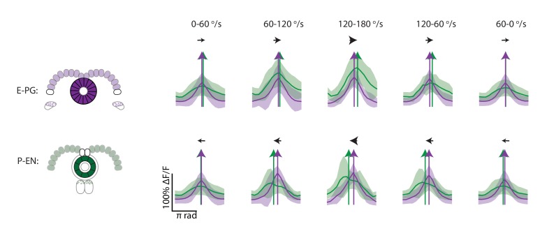 Figure 9—figure supplement 1.