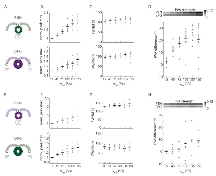 Figure 9—figure supplement 2.