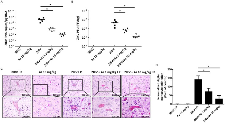 Fig 6