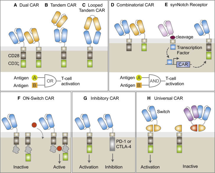 Figure 2