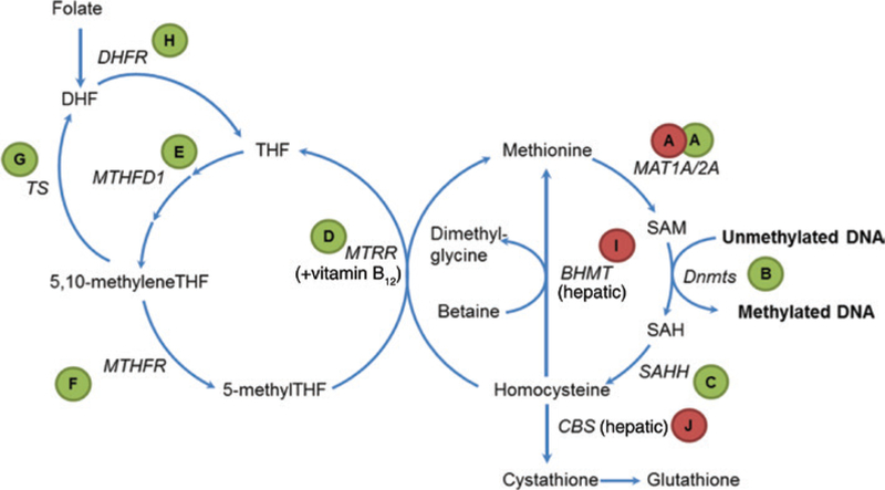 Figure 1: