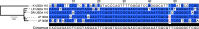 FIG 1