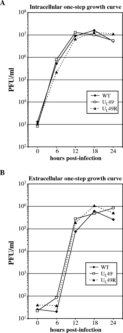 FIG. 5.