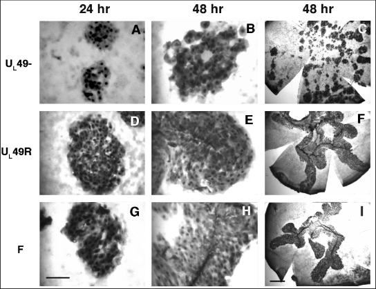 FIG. 9.