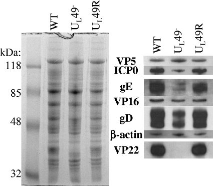 FIG. 8.