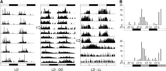 Figure 1.—