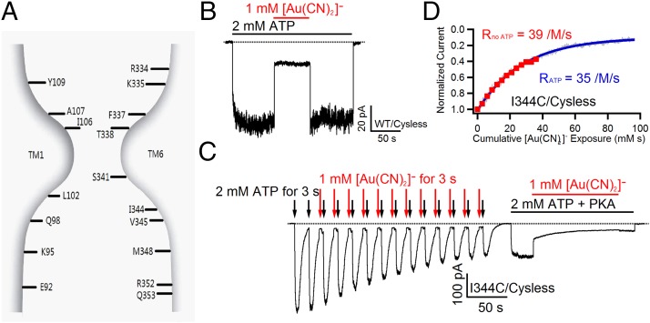 Fig. 1.