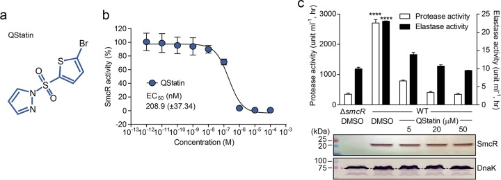 FIG 2 