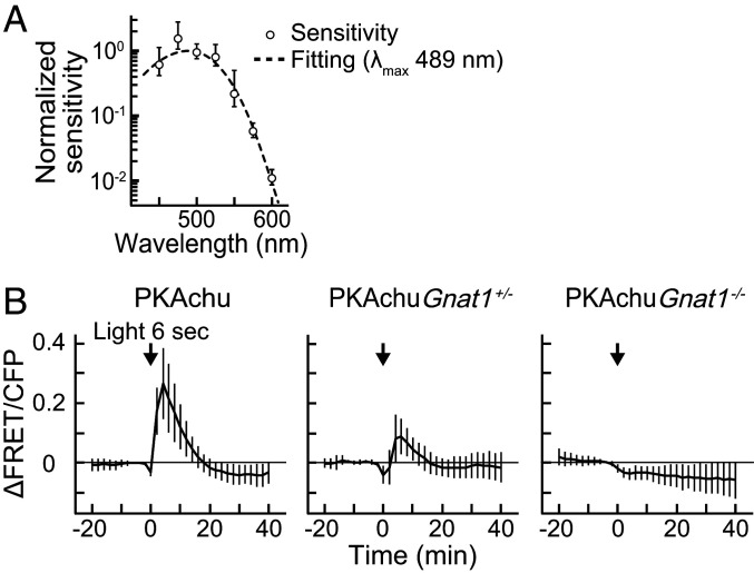 Fig. 4.