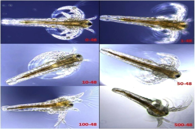 Figure 45