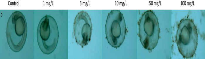 Figure 60