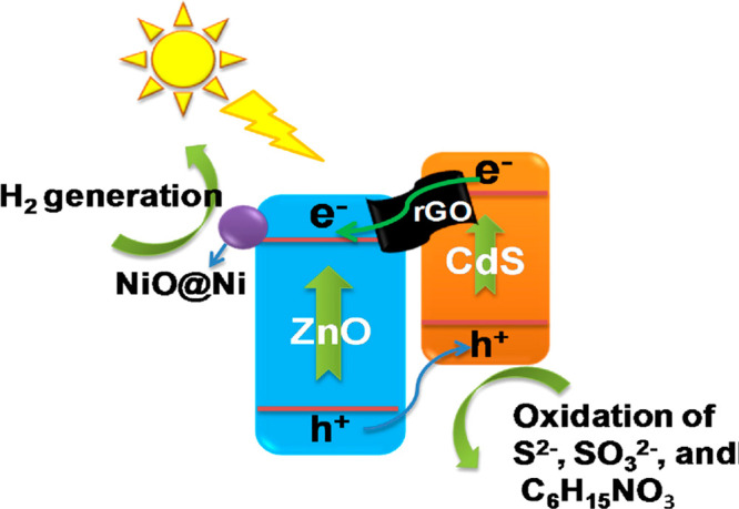 Figure 29