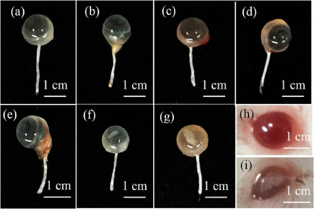 Figure 49