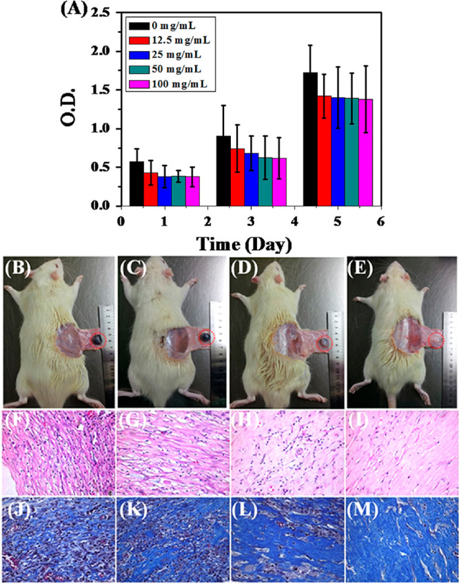Figure 22