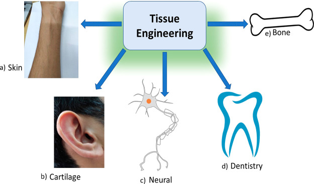 Figure 16