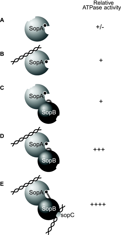 FIGURE 7.