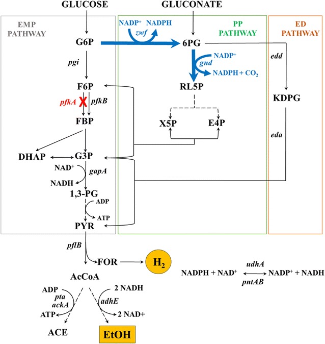 Fig. 1