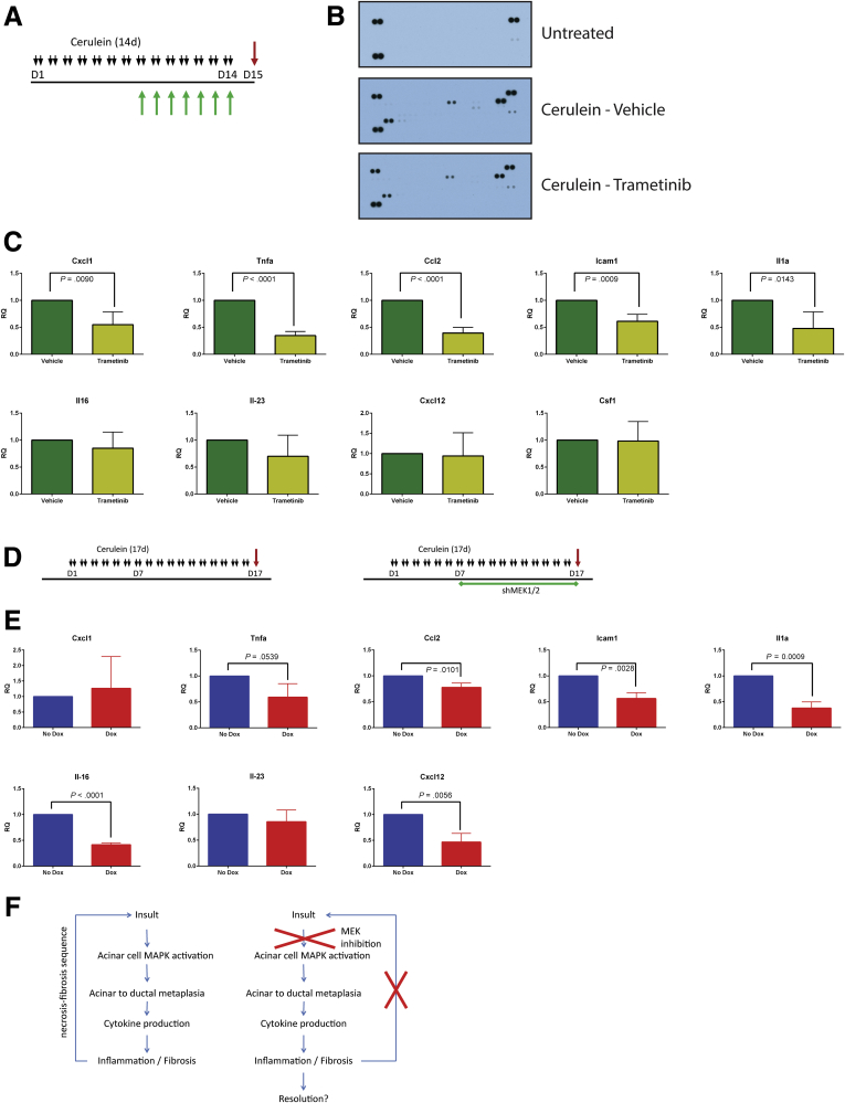 Figure 10