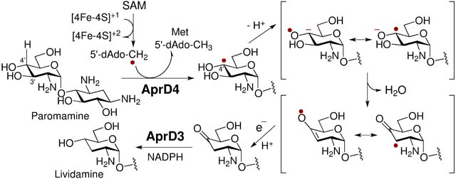 graphic file with name nihms-1687921-f0006.jpg