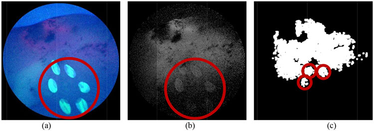 Figure 4: